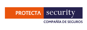 Protecta Security logo 1